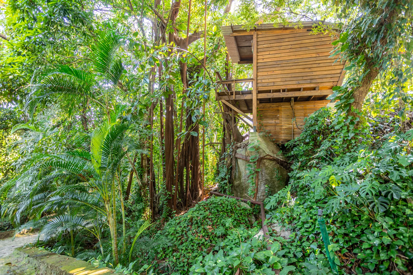 Floresta Bar do Hostel da Vila em Ilhabela
